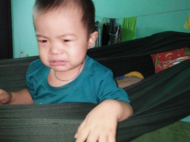 Em nghĩ số mình xui rủi nhận nuôi nó, nên nó cũng xui rủi theo! - Ảnh 1. Em nghĩ số mình xui rủi nhận nuôi nó, nên nó cũng xui rủi theo! - Ảnh 1.