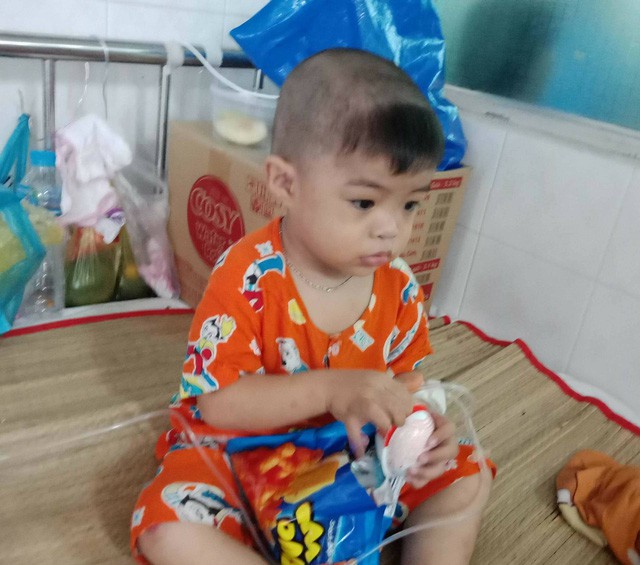 Em nghĩ số mình xui rủi nhận nuôi nó, nên nó cũng xui rủi theo! - Ảnh 3. Em nghĩ số mình xui rủi nhận nuôi nó, nên nó cũng xui rủi theo! - Ảnh 3.