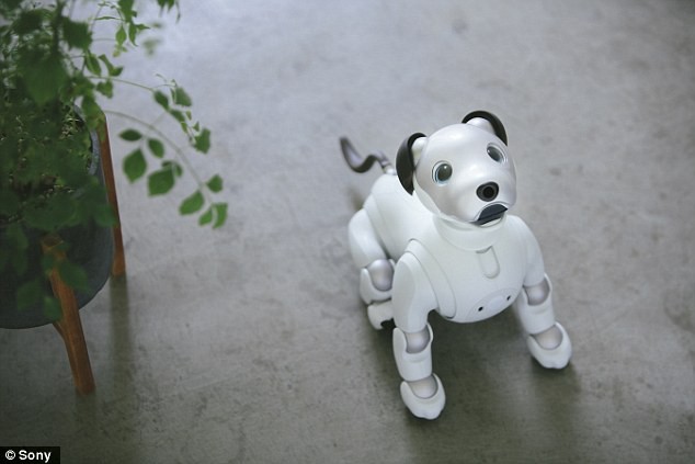 Chó robot Aibo quay trở lại thị trường Mỹ - Ảnh 4.