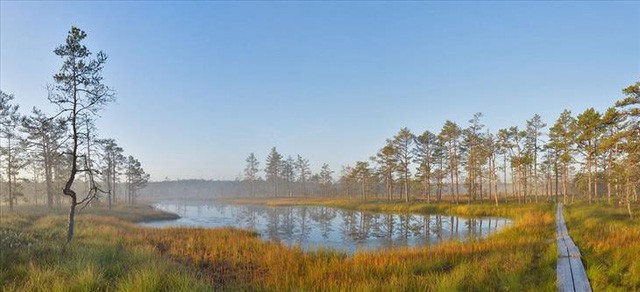 Tại sao lại gọi Estonia là viên ngọc bí ẩn của Đông Âu? - Ảnh 8.