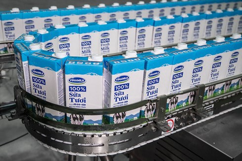 Vinamilk 2 năm liên tiếp lọt vào top 10 công ty nộp thuế thu nhập doanh nghiệp nhiều nhất Việt Nam - Ảnh 1. Vinamilk 2 năm liên tiếp lọt vào top 10 công ty nộp thuế thu nhập doanh nghiệp nhiều nhất Việt Nam - Ảnh 1.