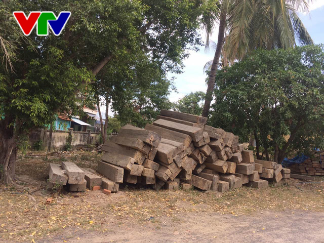 Lâm tặc manh động, Khánh Hoà tăng cường bảo vệ rừng căm xe - Ảnh 1.