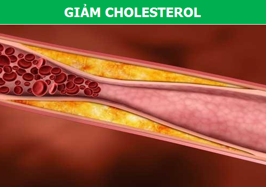 Gừng và chùm ngây: Sự kết hợp tuyệt vời cho sức khỏe! - Ảnh 3.