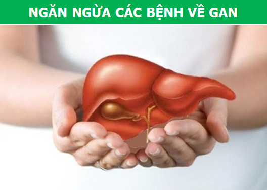 Gừng và chùm ngây: Sự kết hợp tuyệt vời cho sức khỏe! - Ảnh 5.