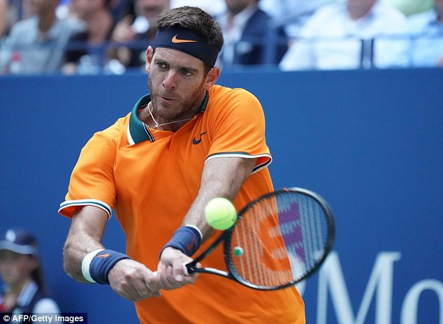 Juan Martin Del Potro giành quyền vào bán kết Mỹ mở rộng 2018 - Ảnh 1.