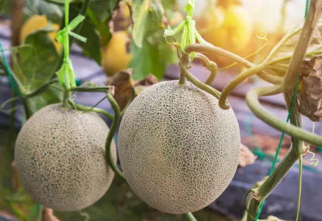 Thư giãn với phép đảo chữ cái trong tiếng Anh - Ảnh 22. Thư giãn với phép đảo chữ cái trong tiếng Anh - Ảnh 22.