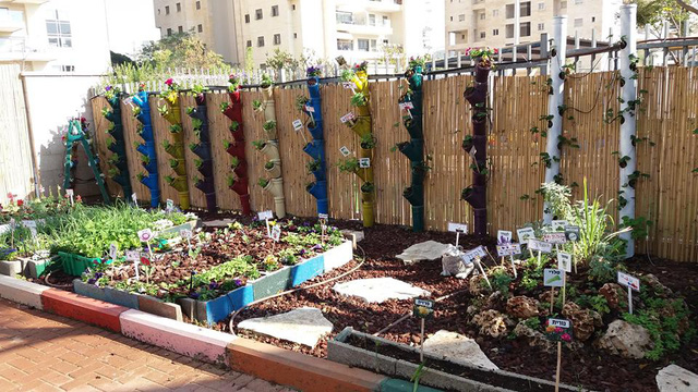 Giáo dục trẻ đặc biệt ở Israel: Những điều rất lạ - Ảnh 20. Giáo dục trẻ đặc biệt ở Israel: Những điều rất lạ - Ảnh 20.