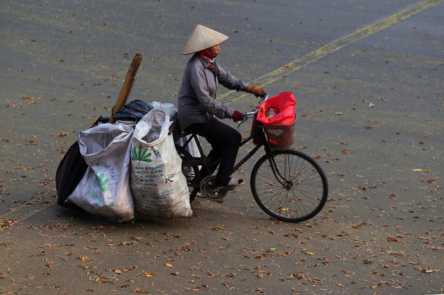 Sài Gòn đẹp mê hồn với mùa chò nâu xoay tít - Ảnh 20.