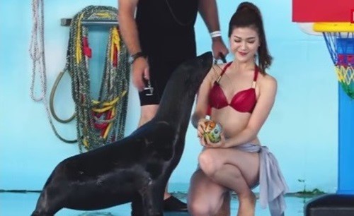 Gia thế MC mặc bikini dẫn World Cup, số tiền &ldquo;khủng&rdquo; chồng Hồng Nhung chu cấp hậu ly h&ocirc;n - Ảnh 8.