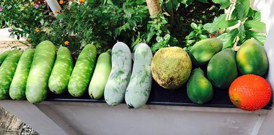 Hé lộ biệt thự nhà vườn bình yên sau bao trầm luân của “Người đẹp Tây Đô” - Ảnh 20.