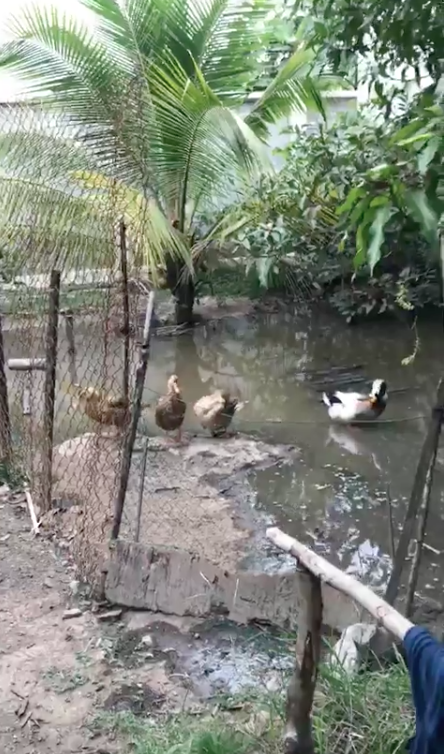 Hé lộ biệt thự nhà vườn bình yên sau bao trầm luân của “Người đẹp Tây Đô” - Ảnh 32.