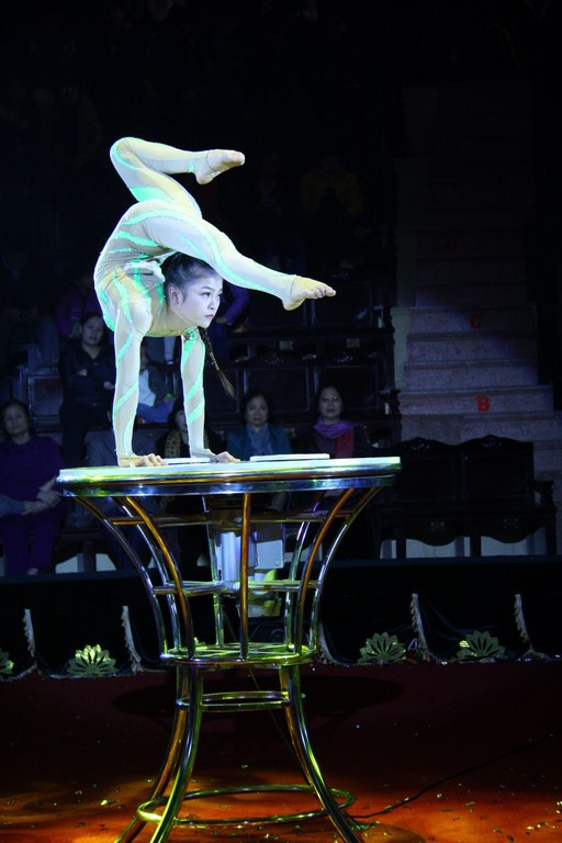 67 nghệ sĩ so tài tại cuộc thi Tài năng diễn viên xiếc toàn quốc 2018 - Ảnh 2. 67 nghệ sĩ so tài tại cuộc thi Tài năng diễn viên xiếc toàn quốc 2018 - Ảnh 2.