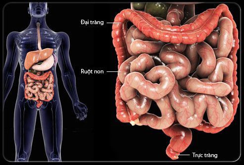 Những điều cần lưu ý về viêm đại tràng co thắt - Ảnh 1.