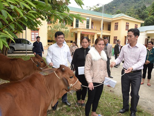 Nghệ An: Khám bệnh, tặng quà Tết cho bà con vùng khó khăn - Ảnh 2.