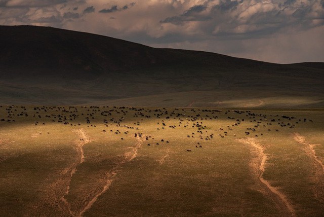 Thiên nhiên hùng vĩ ở Kyrgyzstan - Ảnh 3.