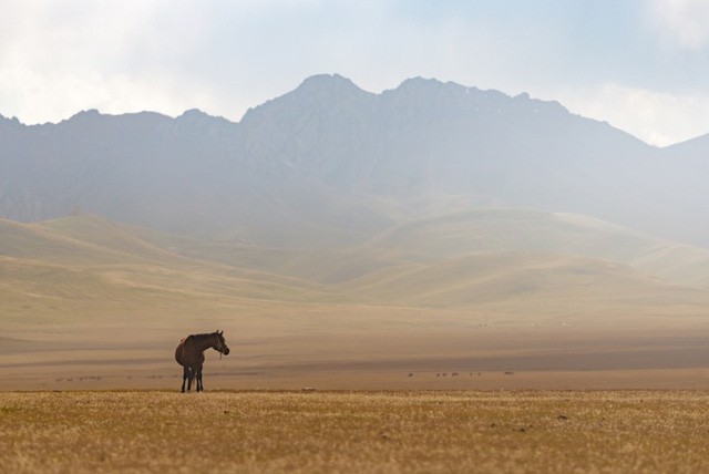 Thiên nhiên hùng vĩ ở Kyrgyzstan - Ảnh 9.