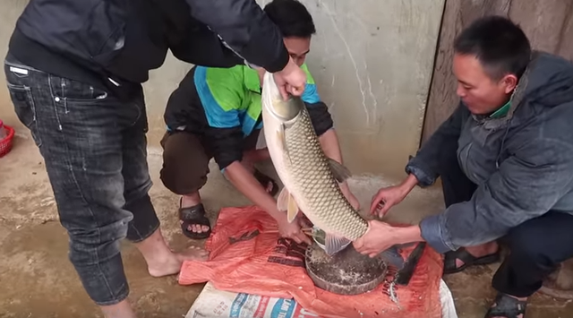 “Tim đập, chân run” nếm thử món tiết canh cá ở Tây Bắc - Ảnh 1. “Tim đập, chân run” nếm thử món tiết canh cá ở Tây Bắc - Ảnh 1.