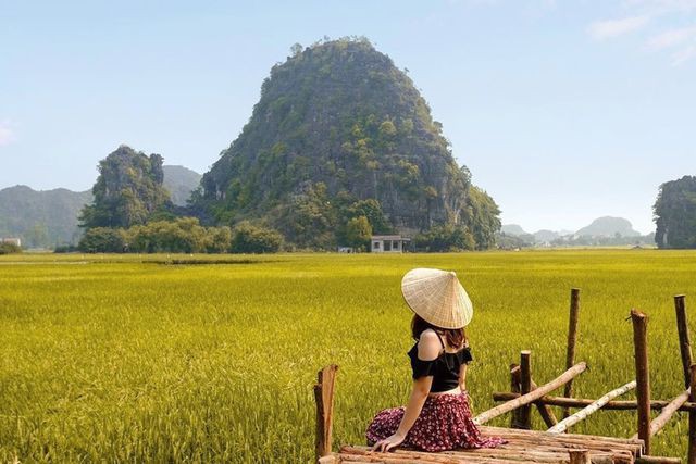 Lúa trải vàng, sen nở rộ giữa thu ở thánh địa sống ảo Ninh Bình - Ảnh 6.