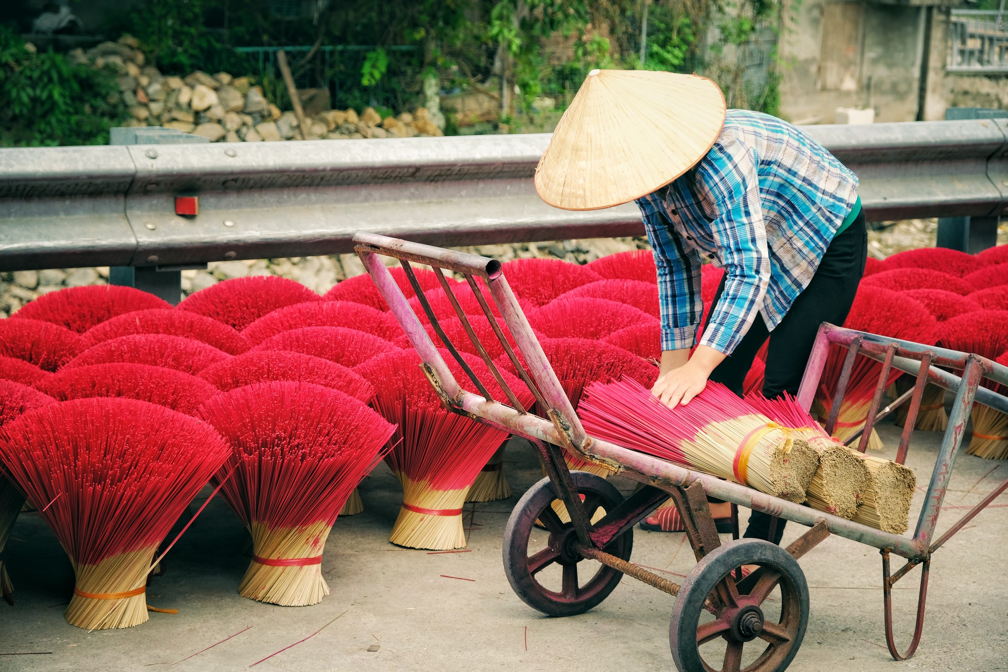 Về làng tăm hương Quảng Phú Cầu ngắm những đóa hoa đỏ rực dưới nắng thu - Ảnh 9.