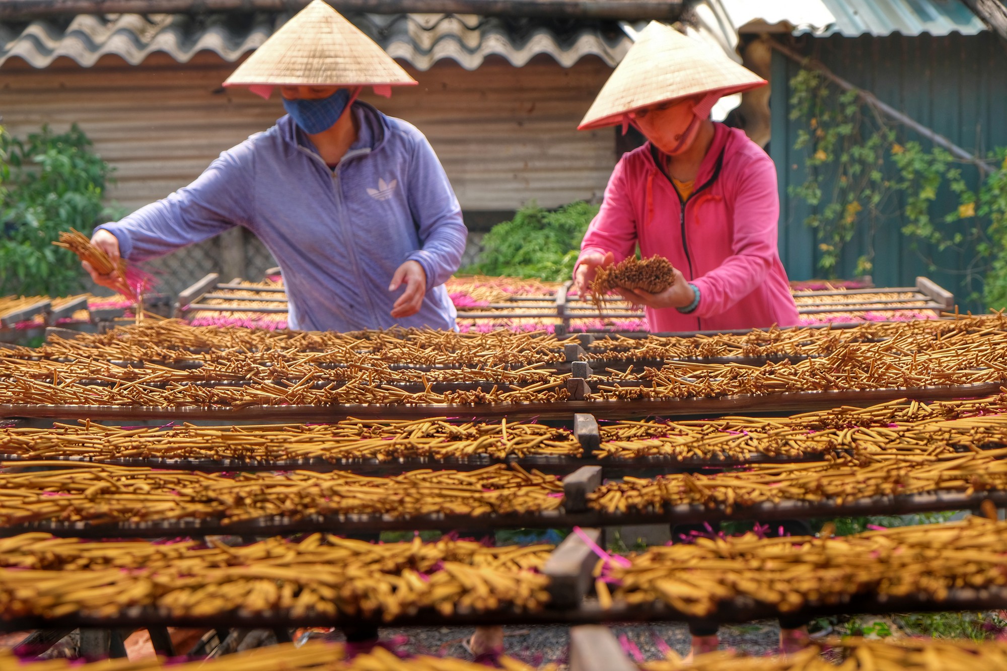 Về làng tăm hương Quảng Phú Cầu ngắm những đóa hoa đỏ rực dưới nắng thu - Ảnh 12.