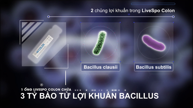 Lợi ích của bào tử lợi khuẩn Bacillus với người viêm đại tràng - Ảnh 2.