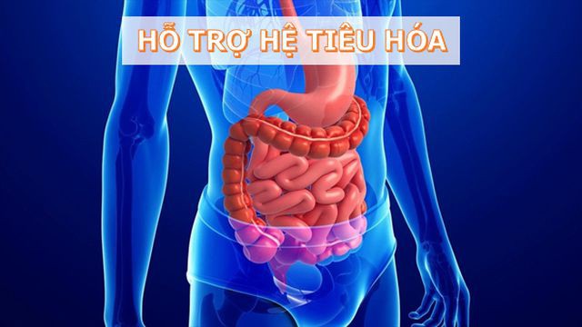 Những lý do tại sao bạn nên ăn ngũ cốc nguyên hạt mỗi ngày - Ảnh 1. Những lý do tại sao bạn nên ăn ngũ cốc nguyên hạt mỗi ngày - Ảnh 1.