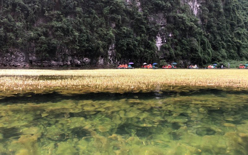 Sunlight floats in a crystal clear streams and shows the moss underwater