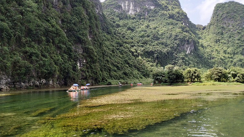 The site’s luxuriant vegetation observed from underwater