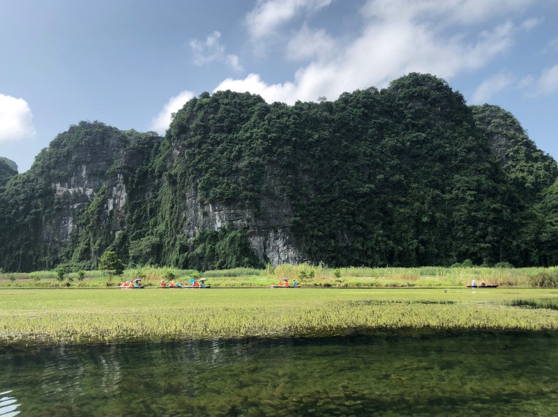 Trang An complex is also home to many aquatic species such as freshwater fish, turtles, and snakes