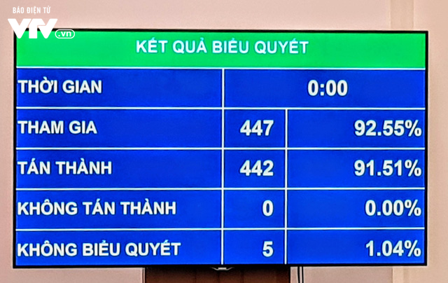 91,51% đại biểu Quốc hội tán thành thông qua Luật Xuất cảnh, nhập cảnh của công dân Việt Nam - Ảnh 1.