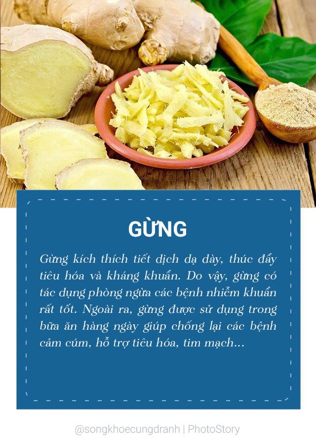 5 kháng sinh tự nhiên ngay trong tủ bếp nhà bạn - Ảnh 3.