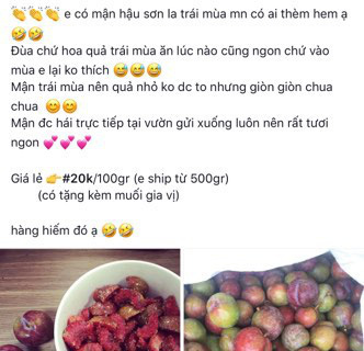 Mận trái mùa giá cao nhưng vẫn đắt khách - Ảnh 2.