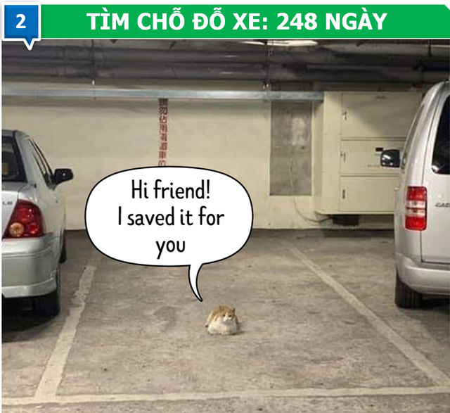 Ch&uacute;ng ta ti&ecirc;u tốn bao nhi&ecirc;u thời gian v&agrave;o những việc &ldquo;v&ocirc; bổ&rdquo; trong cuộc đời? - Ảnh 2.