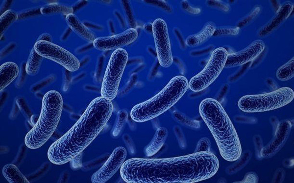 Lợi ích của bào tử lợi khuẩn Bacillus coagulans đối với trẻ bị rối loạn tiêu hóa - Ảnh 1.