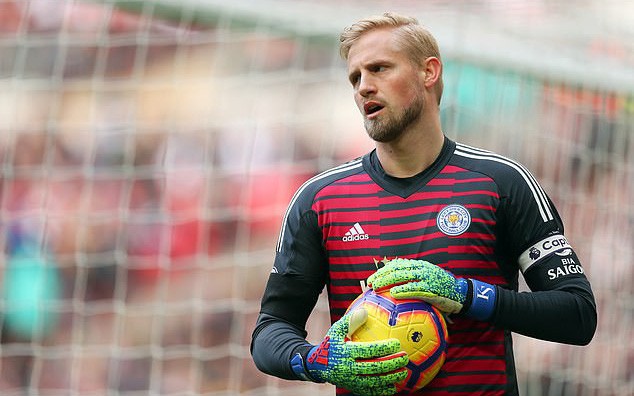 SCHMEICHEL-crop SCHMEICHEL-crop