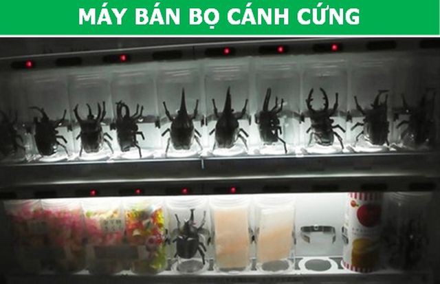 Ngỡ ngàng với những chiếc máy bán hàng tự động có một không hai ở Nhật Bản - Ảnh 2.