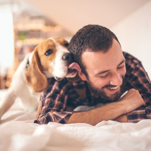 Những căn bệnh nguy hiểm có thể lây từ thú cưng - Ảnh 2. Những căn bệnh nguy hiểm có thể lây từ thú cưng - Ảnh 2.
