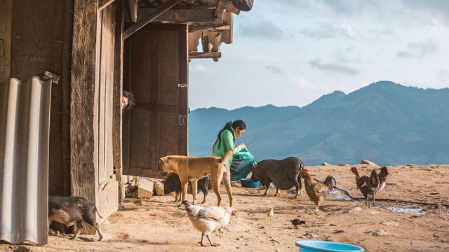 5 điểm săn mây đẹp nhất Việt Nam không thể bỏ lỡ trong tháng 3 - Ảnh 4.