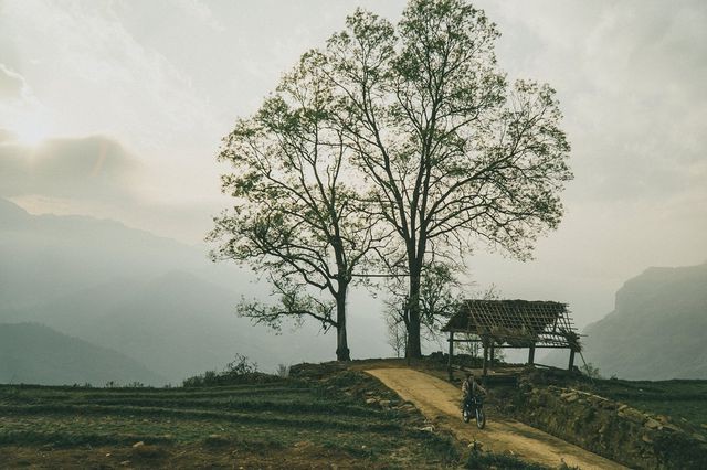 5 điểm săn mây đẹp nhất Việt Nam không thể bỏ lỡ trong tháng 3 - Ảnh 6.