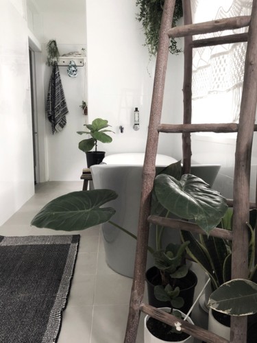 Cải thiện không gian bằng cách đưa thiên nhiên vào nhà - Ảnh 5. Cải thiện không gian bằng cách đưa thiên nhiên vào nhà - Ảnh 5.