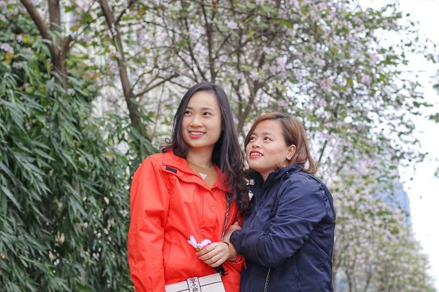 Hoa ban nở rộ khoe sắc trắng tinh khôi giữa trời Hà Nội - Ảnh 6. Hoa ban nở rộ khoe sắc trắng tinh khôi giữa trời Hà Nội - Ảnh 6.