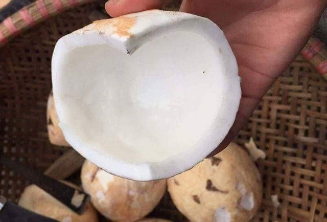 Maroc siết chặt kiểm tra mặt hàng cơm dừa nhập khẩu - Ảnh 1. Maroc siết chặt kiểm tra mặt hàng cơm dừa nhập khẩu - Ảnh 1.
