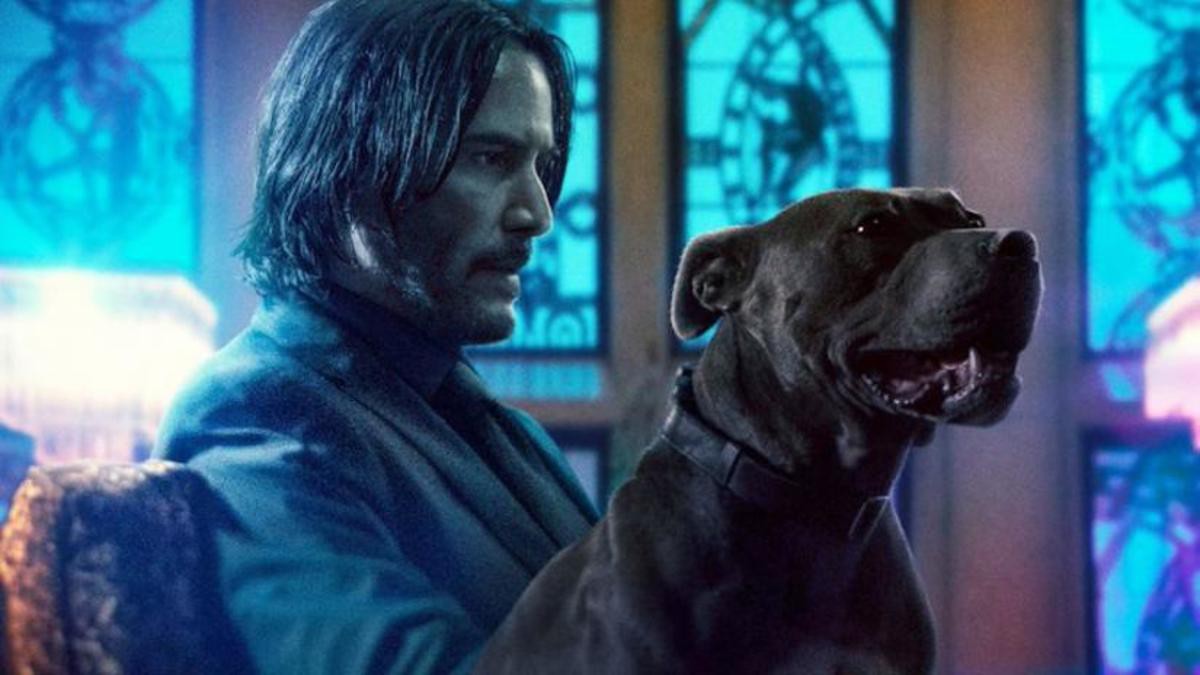 Không cần doanh thu khủng, Keanu Reeves biết ơn vì có “John Wick 3” - Ảnh 1. Không cần doanh thu khủng, Keanu Reeves biết ơn vì có “John Wick 3” - Ảnh 1.