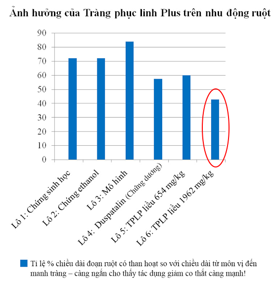 Lý giải những hiểu lầm bấy lâu nay về bệnh đại tràng co thắt - Ảnh 4.