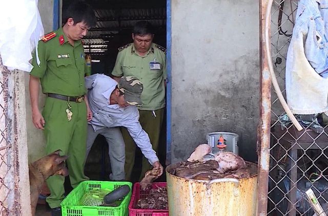 Tiêu hủy gần 1,5 tấn thịt lợn bốc mùi hôi thối tại Hậu Giang - Ảnh 1.