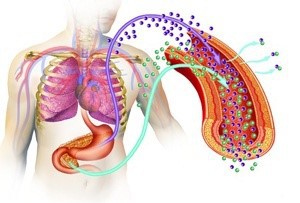 Nhờ cơ chế kiểm soát glucose trong máu, Biotin chứng minh khả năng hỗ trợ điều trị cho bệnh nhân tiểu đường - Ảnh 1.