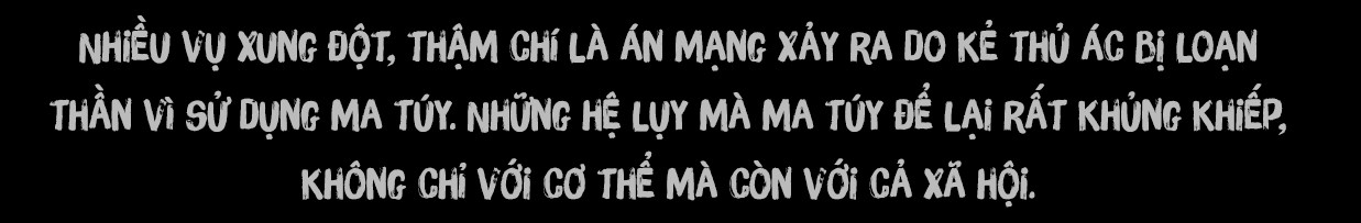 Loạn thần do ma túy – Nguyên nhân của hành vi bạo lực - Ảnh 1.