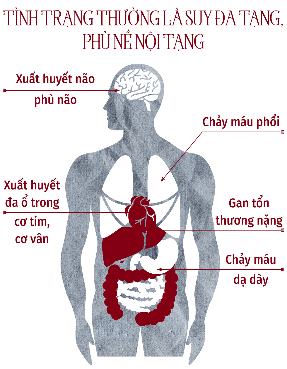 Sự tàn phá đáng sợ của ma túy tổng hợp - Ảnh 7.