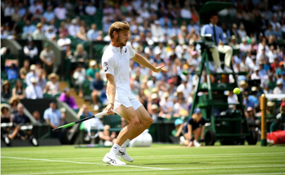 Goffin Goffin