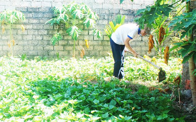 Nghệ An: Đạt 28,3 điểm khối A1, cậu học trò nghèo nuôi ước mơ thành lập trình viên - Ảnh 2.